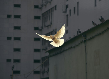 мировое соглашение в исполнительном производстве в 2026 - фото - 1